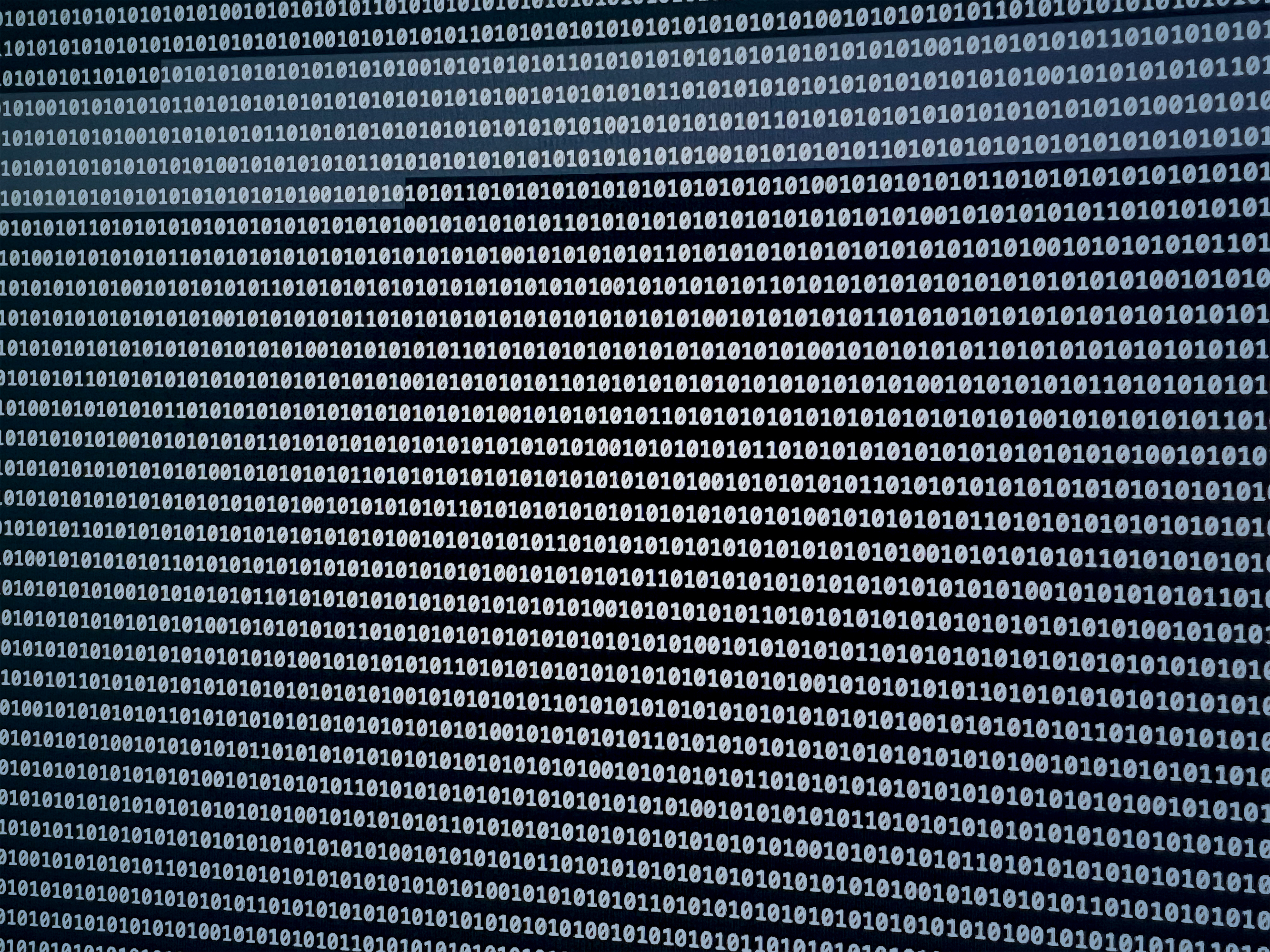 Informativa sulla privacy