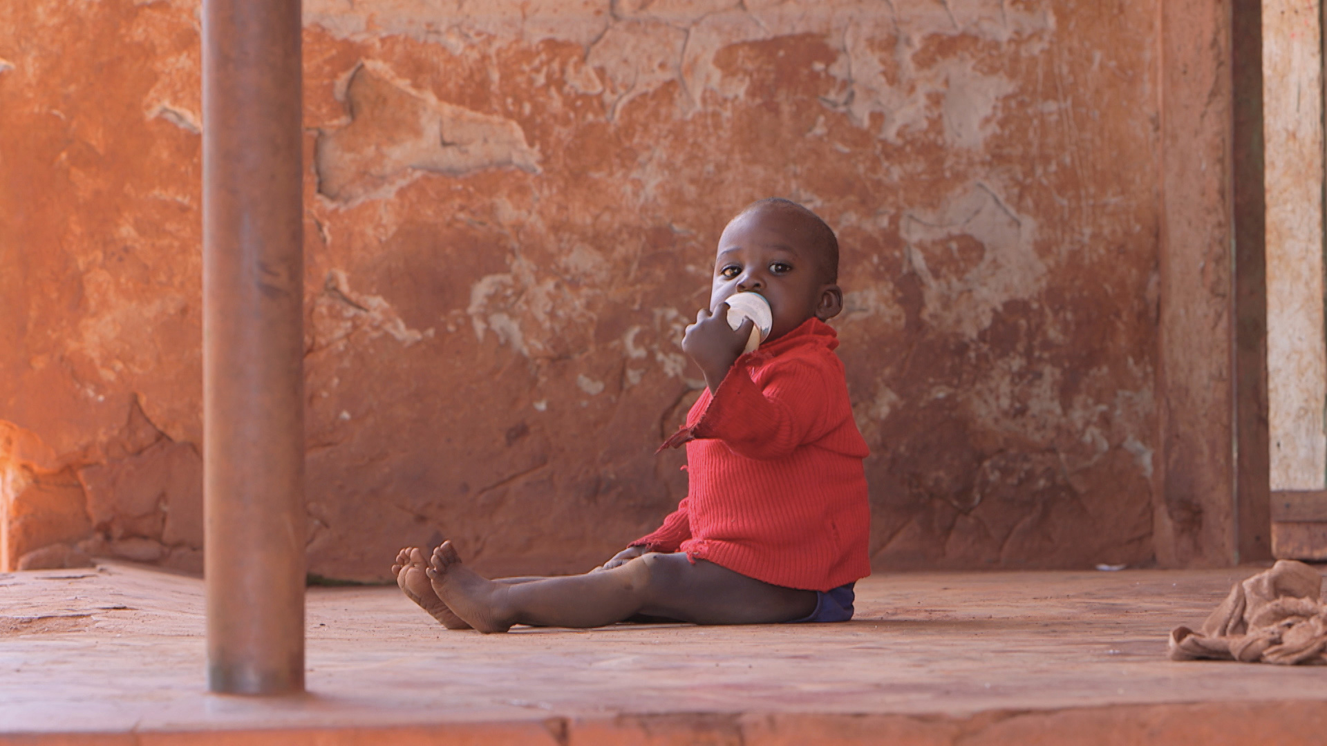 ActionAid
